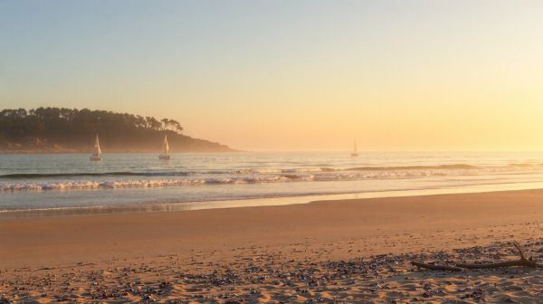 Top 5 campings appréciés en Charente-Maritime à découvrir
